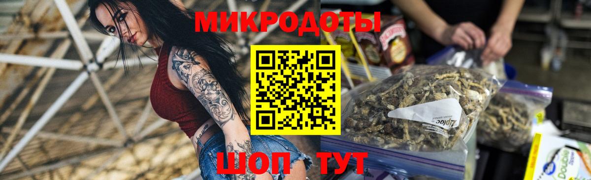 Галлюциногенные грибы Psilocybe  Псилоцибиновые грибы Psilocybe  Артём  Вход с VPN 
